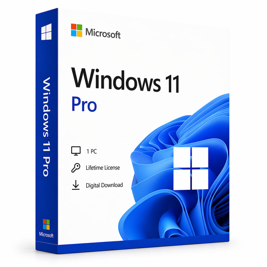 Windows 11 Professional